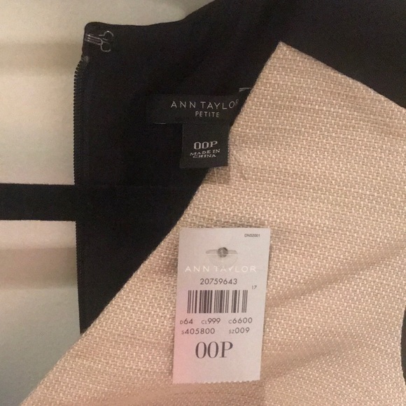 NWT Ann Taylor Colorblock Cotton Sheath Dress - Picture 5 of 5